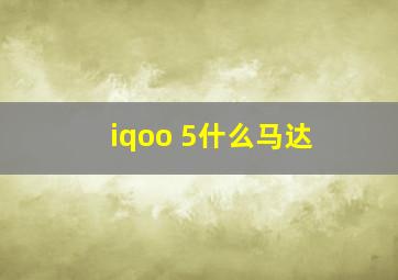 iqoo 5什么马达